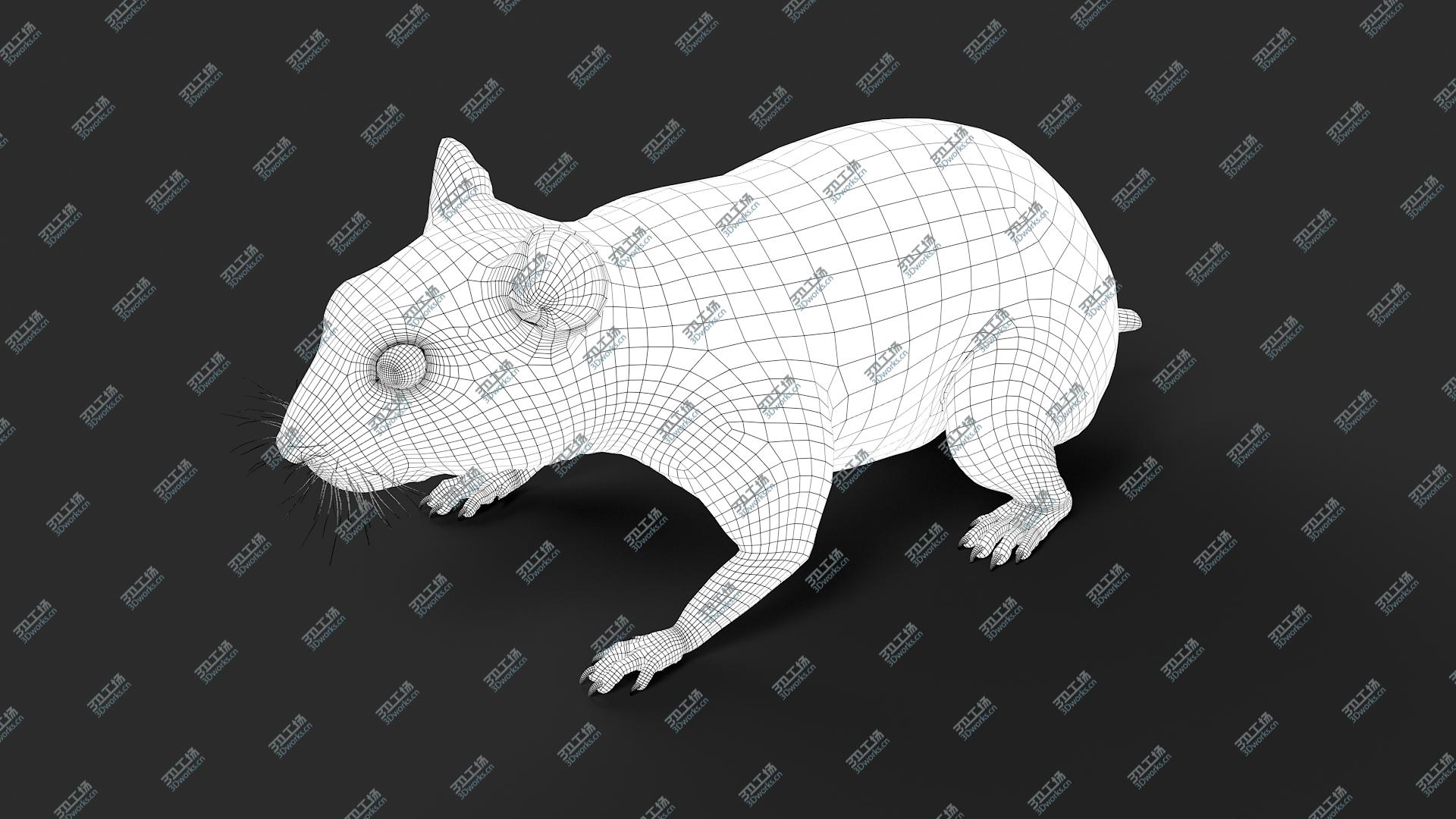 images/goods_img/20210319/Hamster model/4.jpg